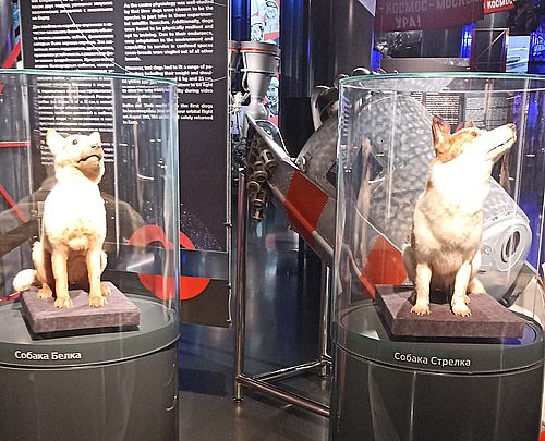 Фото пресс-службы Хакасского национального краеведческого музея имени Л.Р. Кызласова